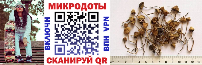 даркнет сайт  Нарткала  МЕГА маркетплейс  Галлюциногенные грибы MAGIC MUSHROOMS 