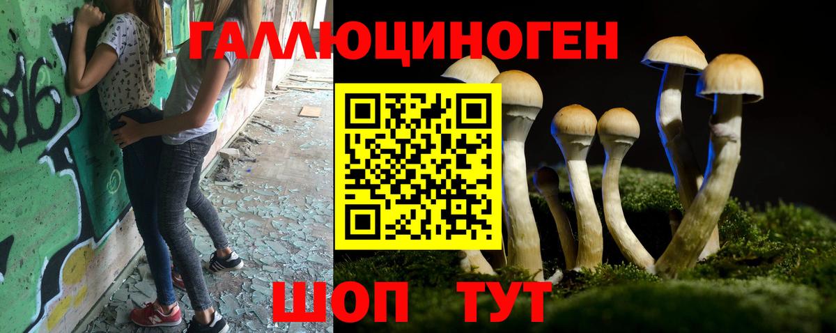Нарткала  Псилоцибиновые грибы Cubensis  Вход с VPN 