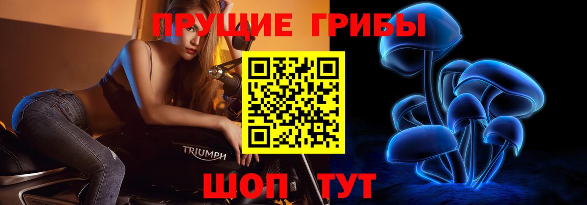 Галлюциногенные грибы Cubensis Нарткала