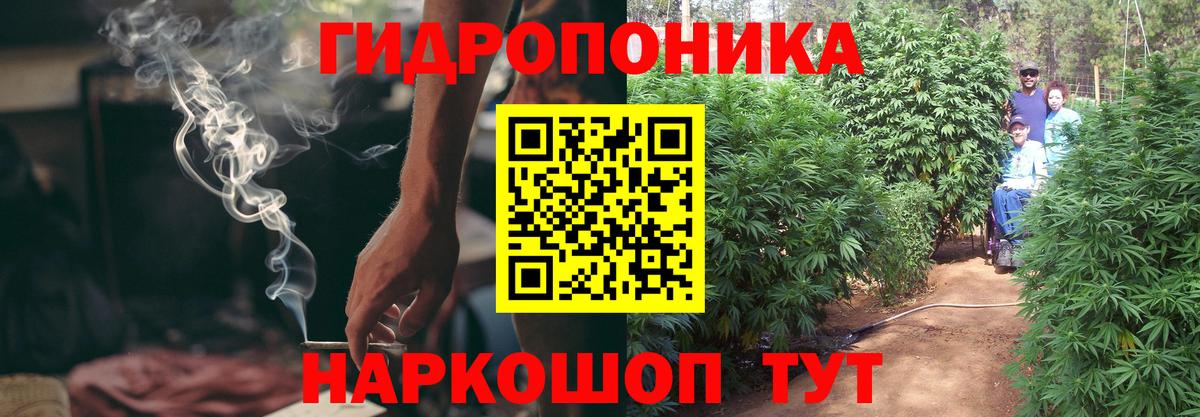 Канабис OG Kush  Нарткала  Канабис конопля  МАРИХУАНА конопля 